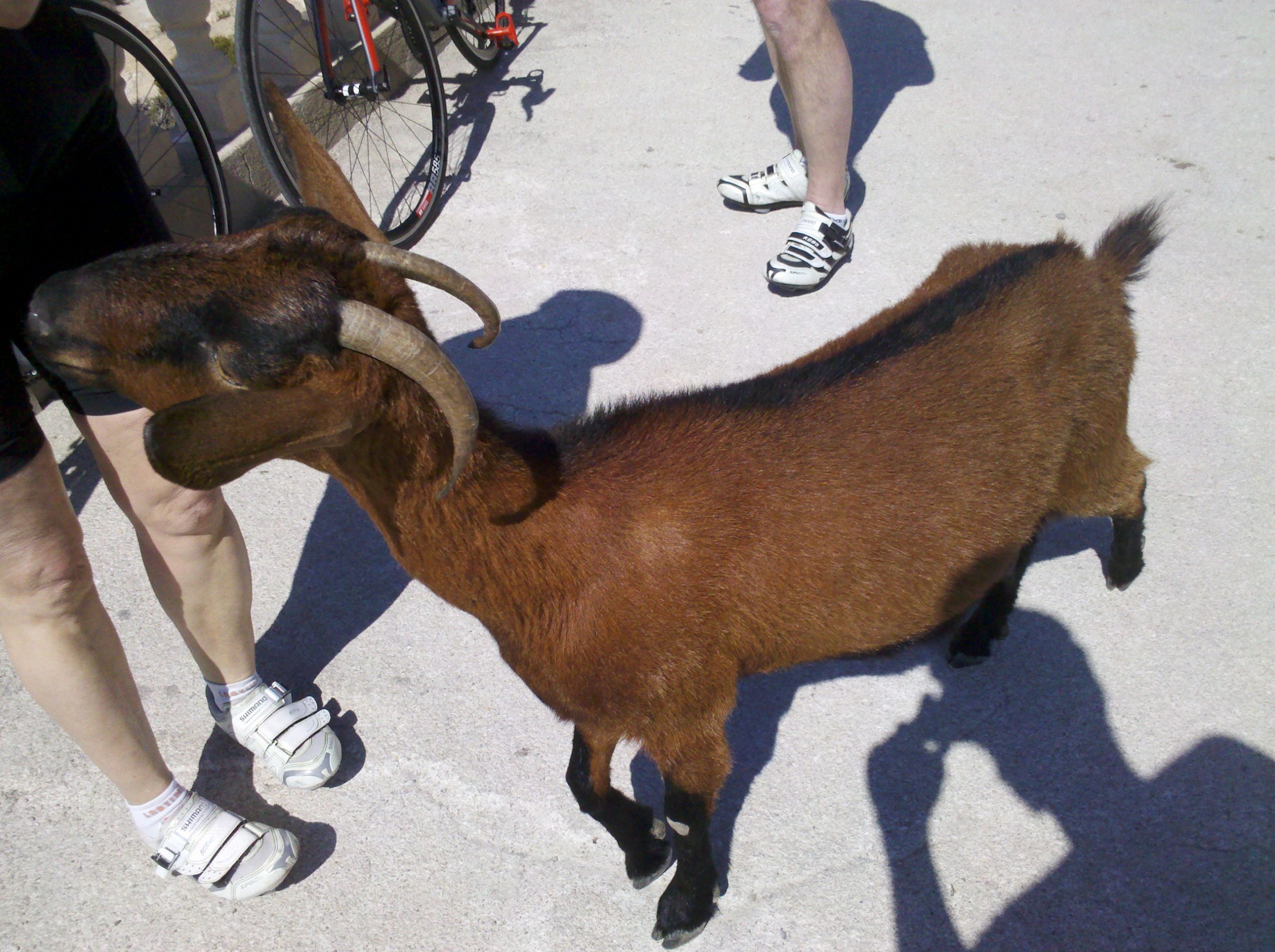 IMG_20150406_123138