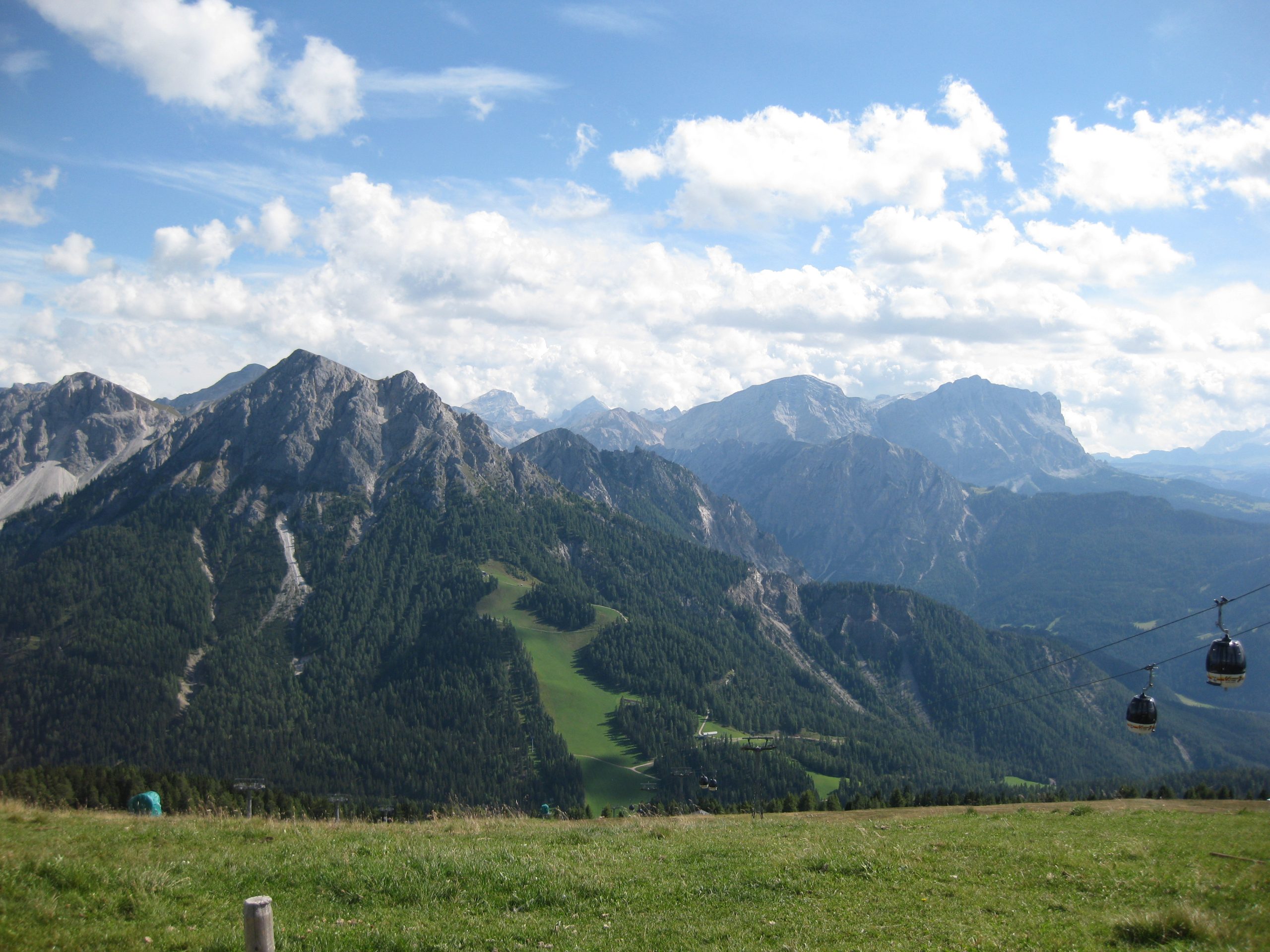 IMG_1781
