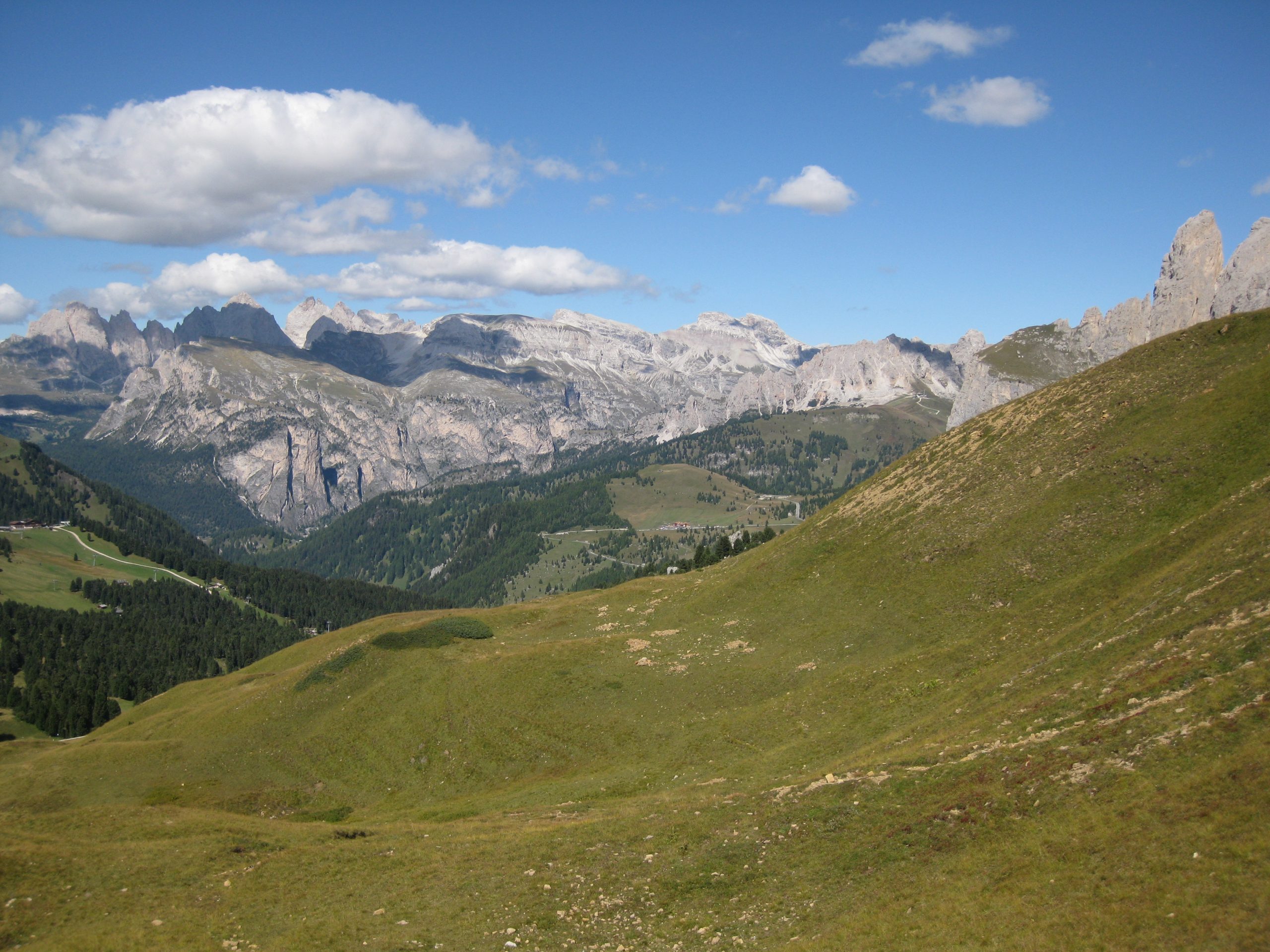 IMG_1875