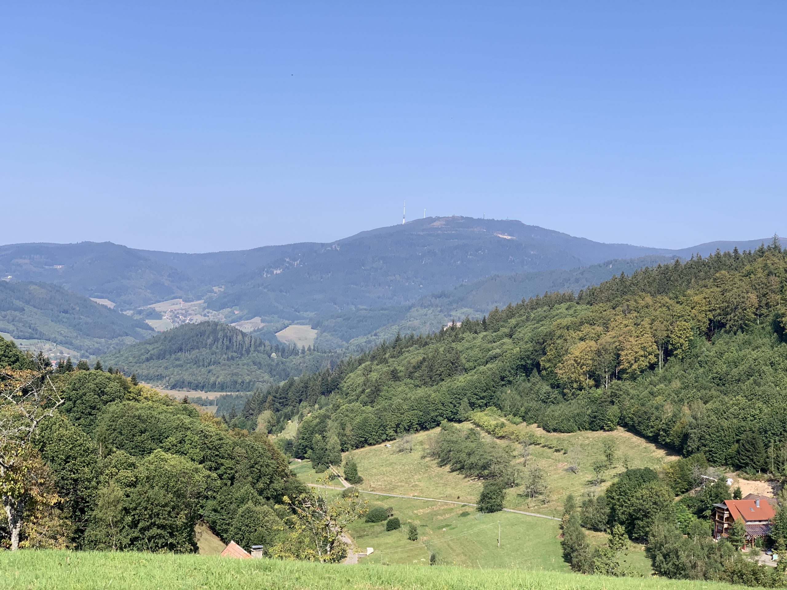 Schwarzwald 2020