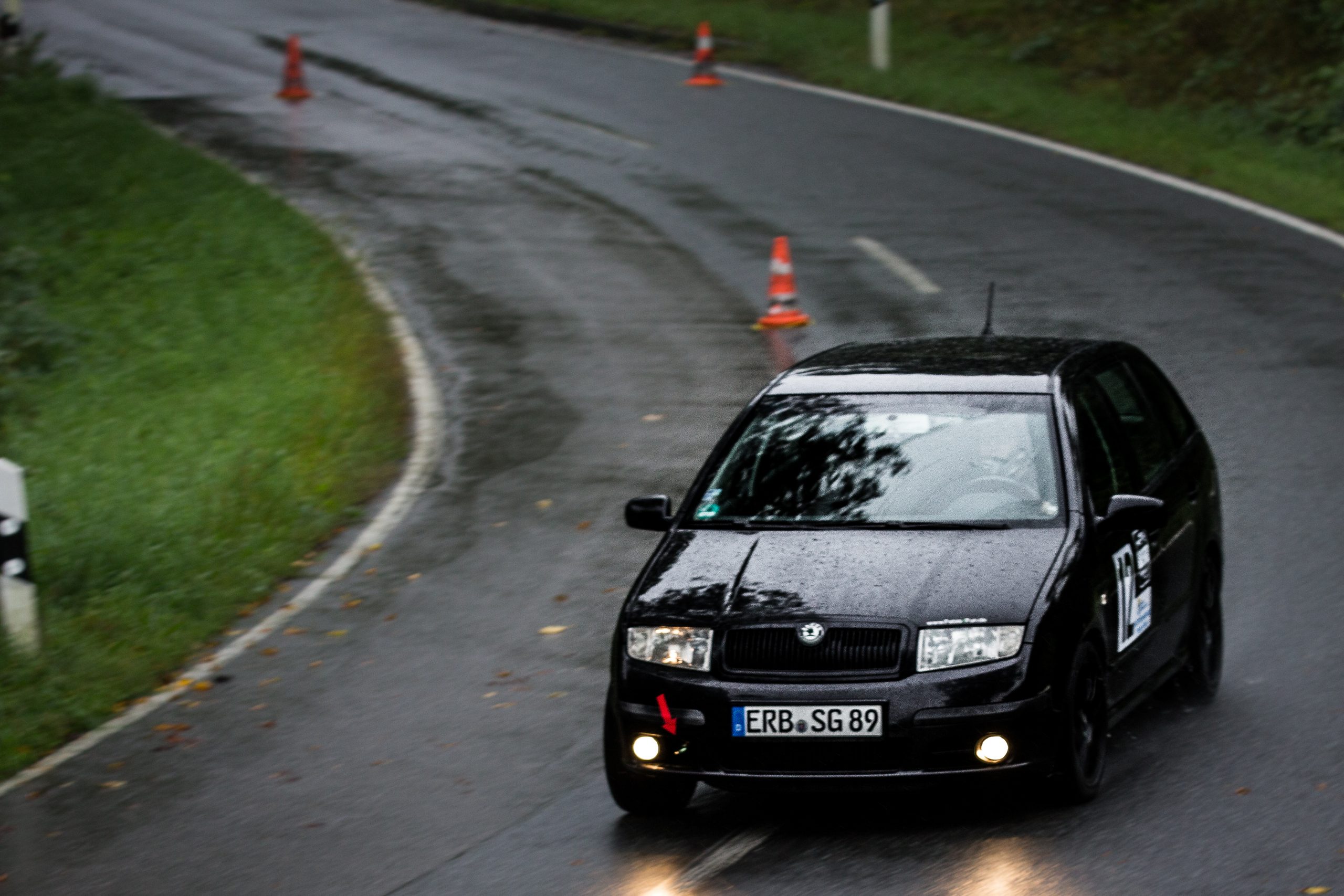 Fabia (1 von 8)