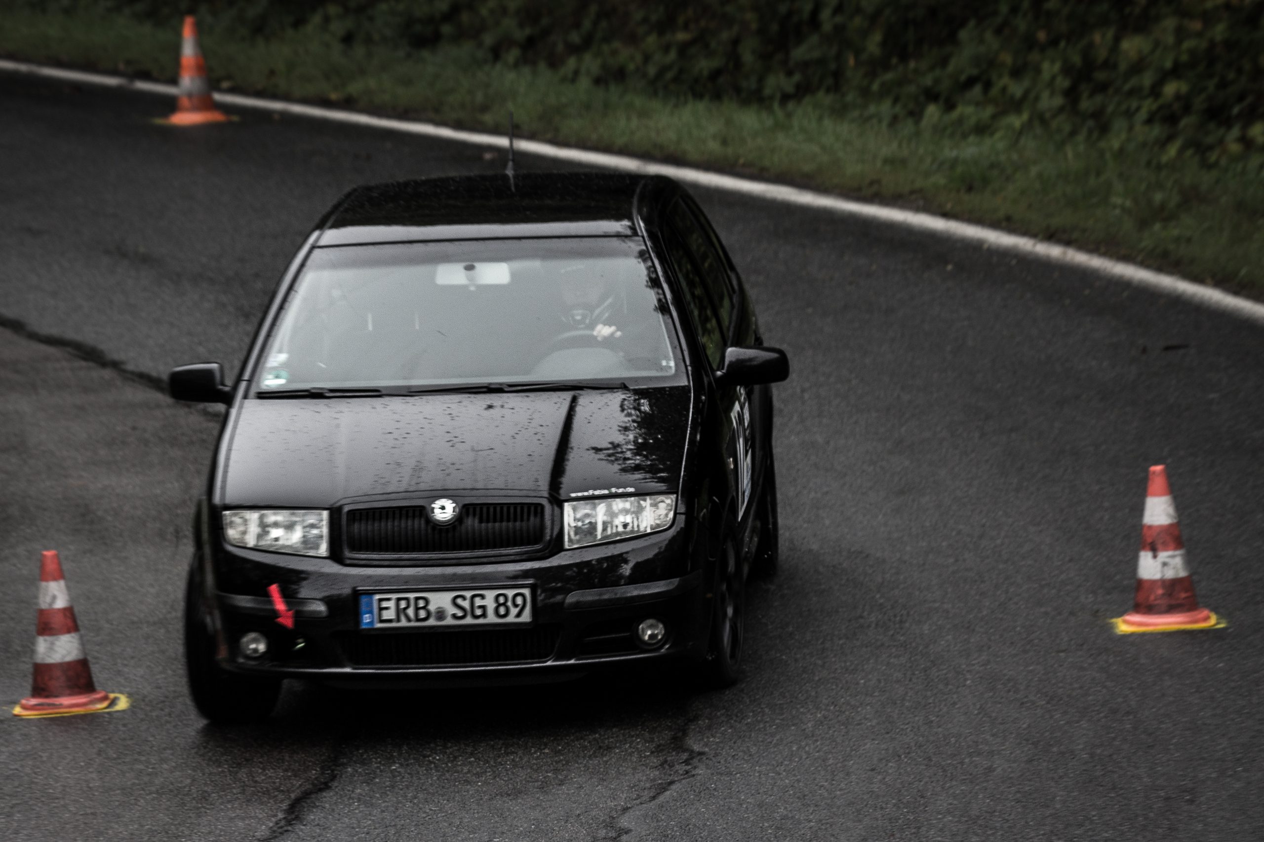 Fabia (6 von 8)